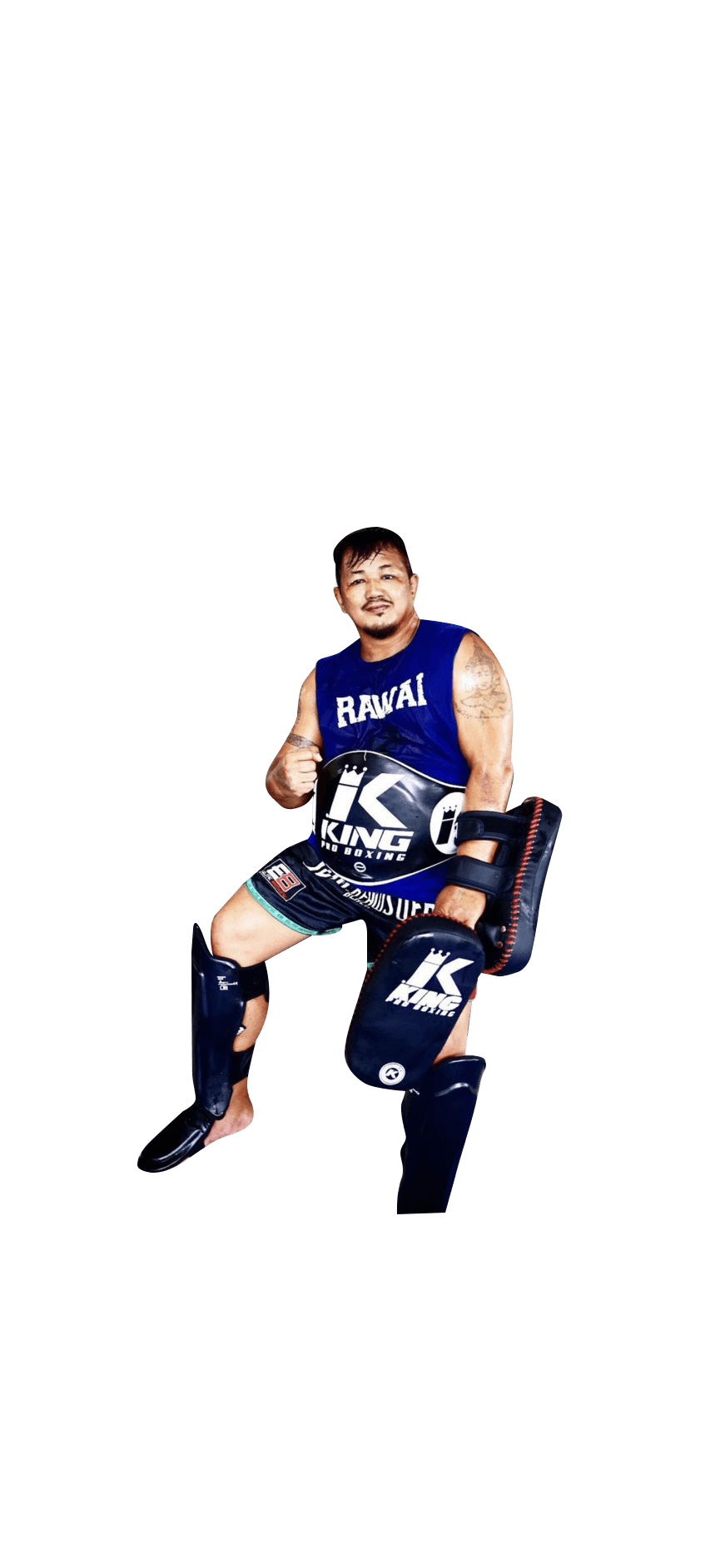 King Pro Kicking Pads - 2 Strap