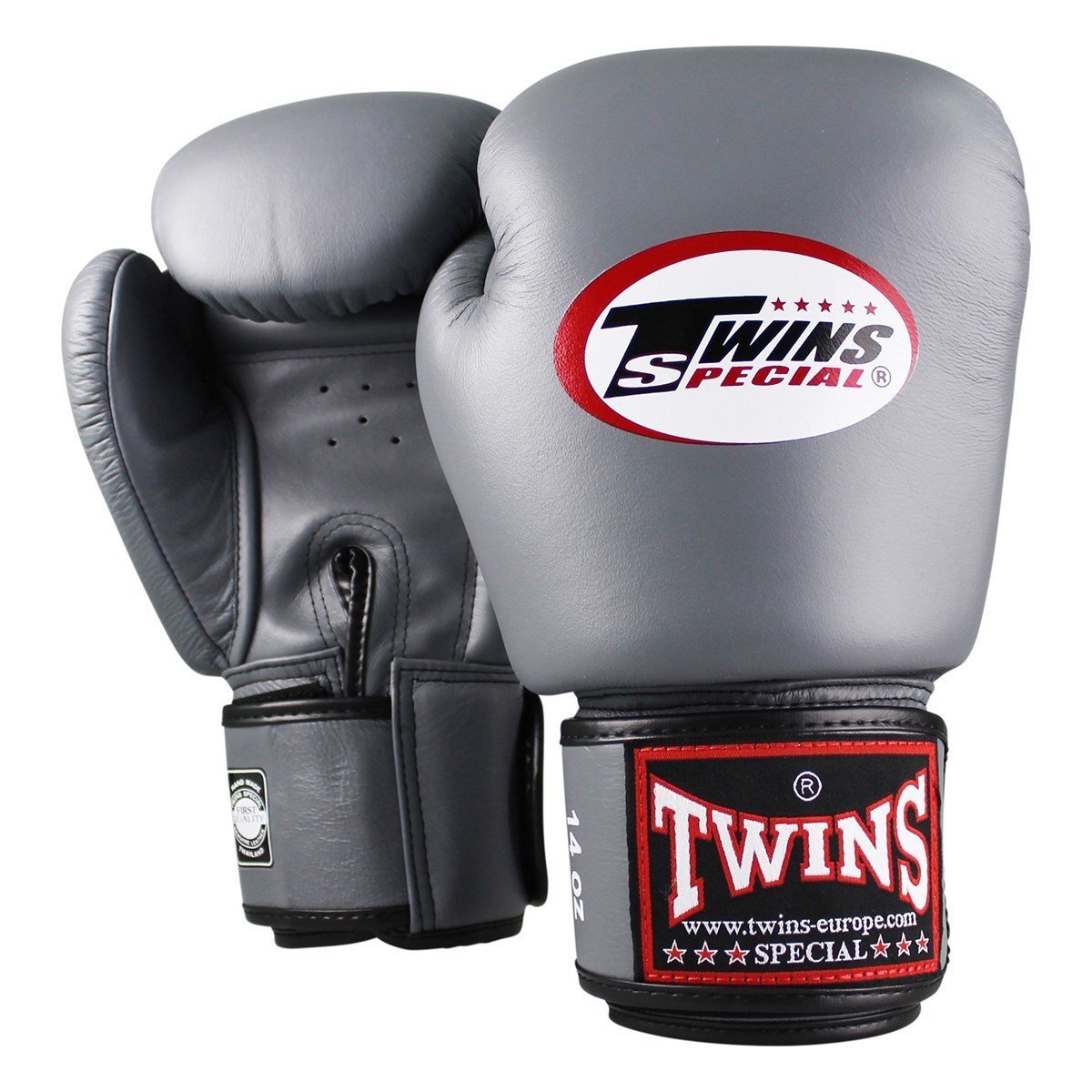 Twins Special Boxing Gloves - Silver